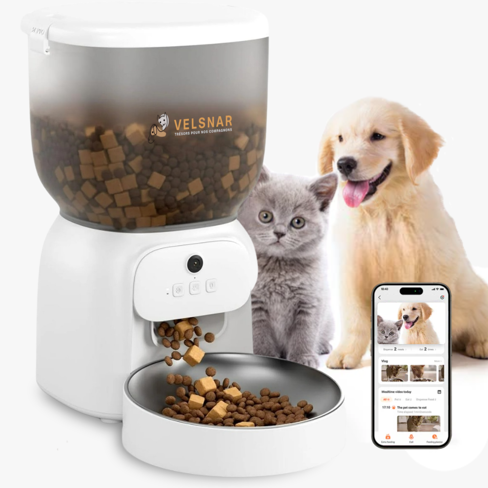 Distributeur croquettes 4L pour chats & chiens VelsnarVital