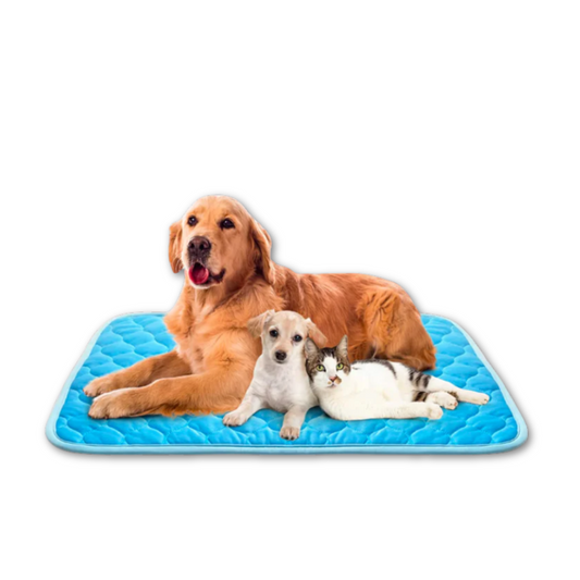 Tapis rafraîchissant pour animaux de compagnie