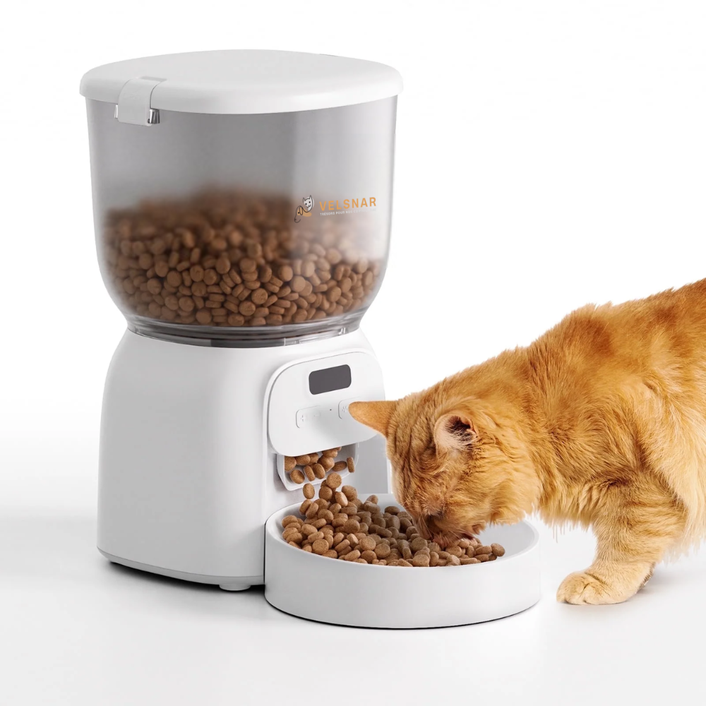 Distributeur croquettes 4L pour chats & chiens VelsnarVital